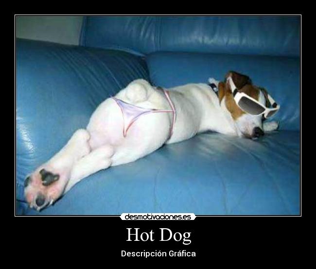 Hot Dog - Descripción Gráfica