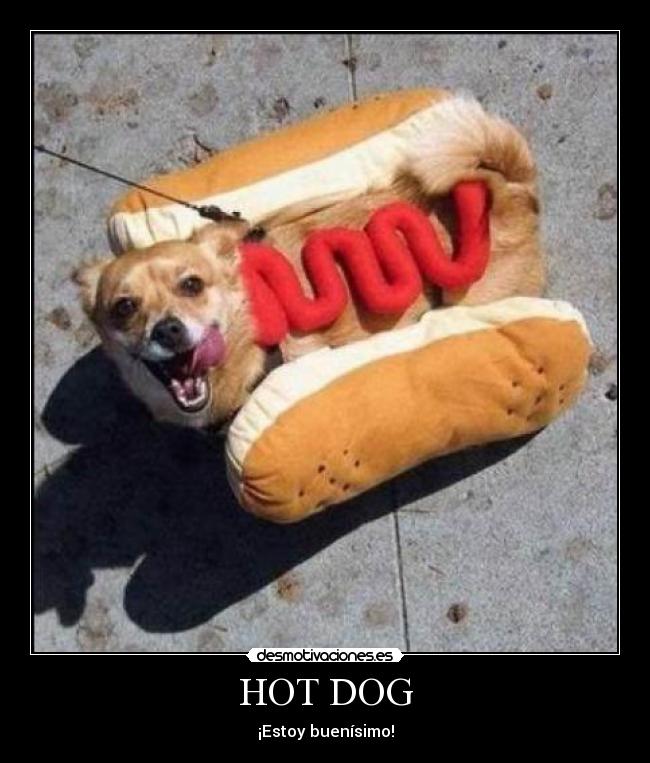 HOT DOG - ¡Estoy buenísimo!