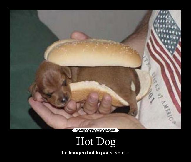 carteles perros desmotivaciones