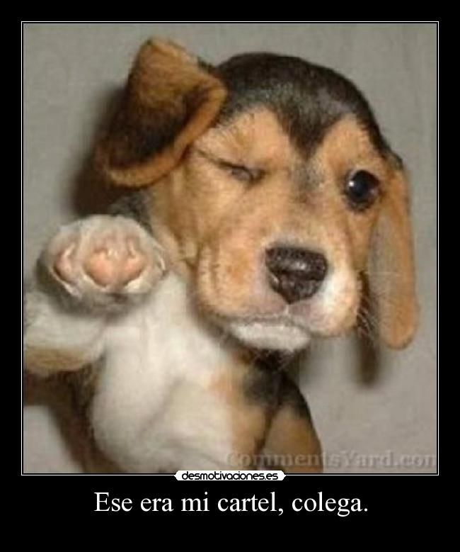 Ese era mi cartel, colega. - 