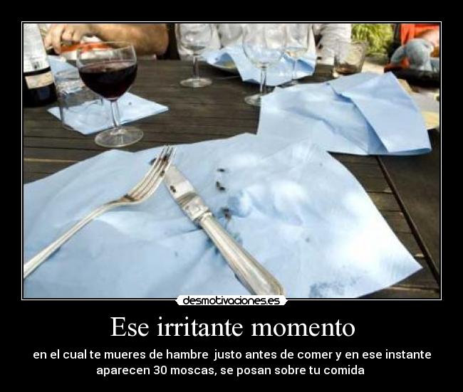 Ese irritante momento - en el cual te mueres de hambre justo antes de comer y en ese instante
aparecen 30 moscas, se posan sobre tu comida