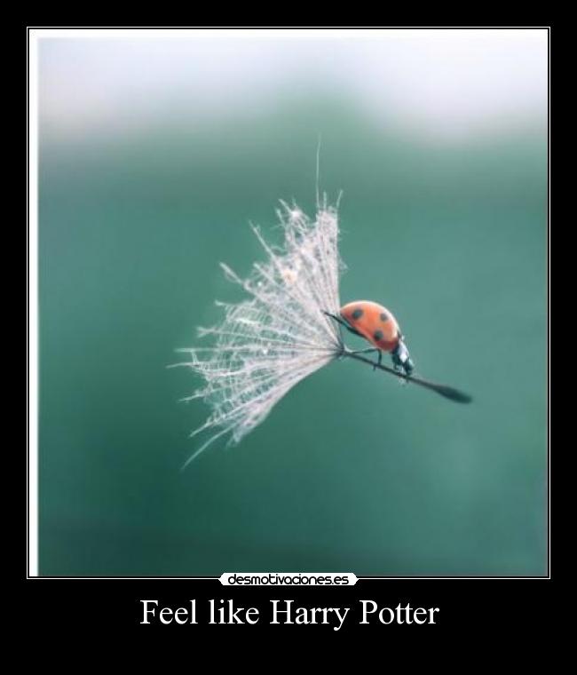 Feel like Harry Potter - 