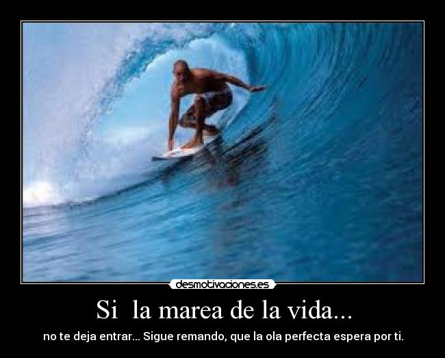 carteles vida marea surf entrar ola vida desmotivaciones