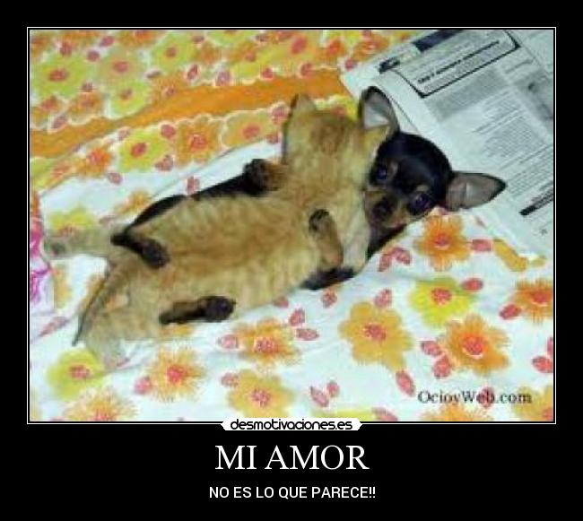 MI AMOR -
