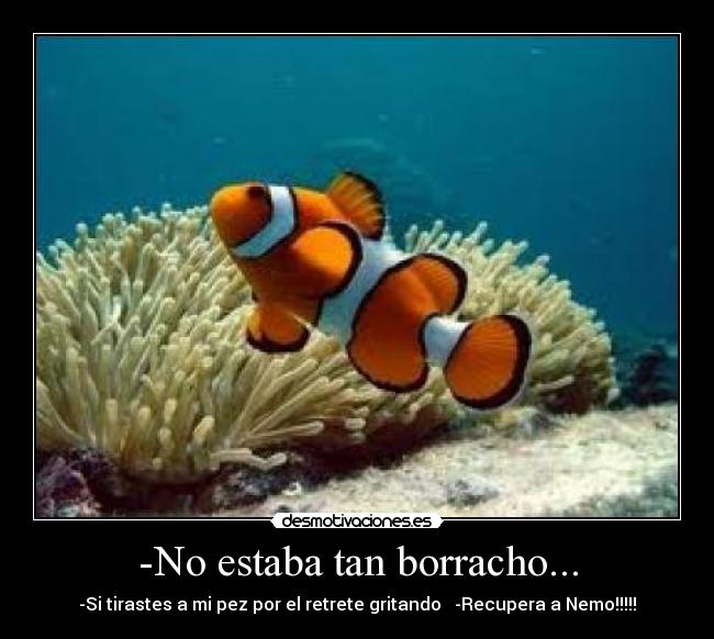 -No estaba tan borracho... - 