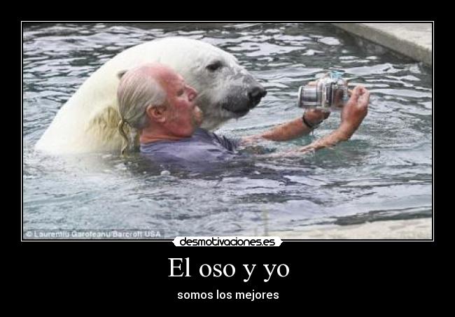 El oso y yo -