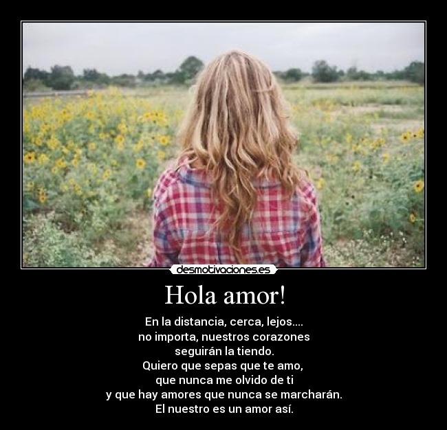 Hola amor! - 
