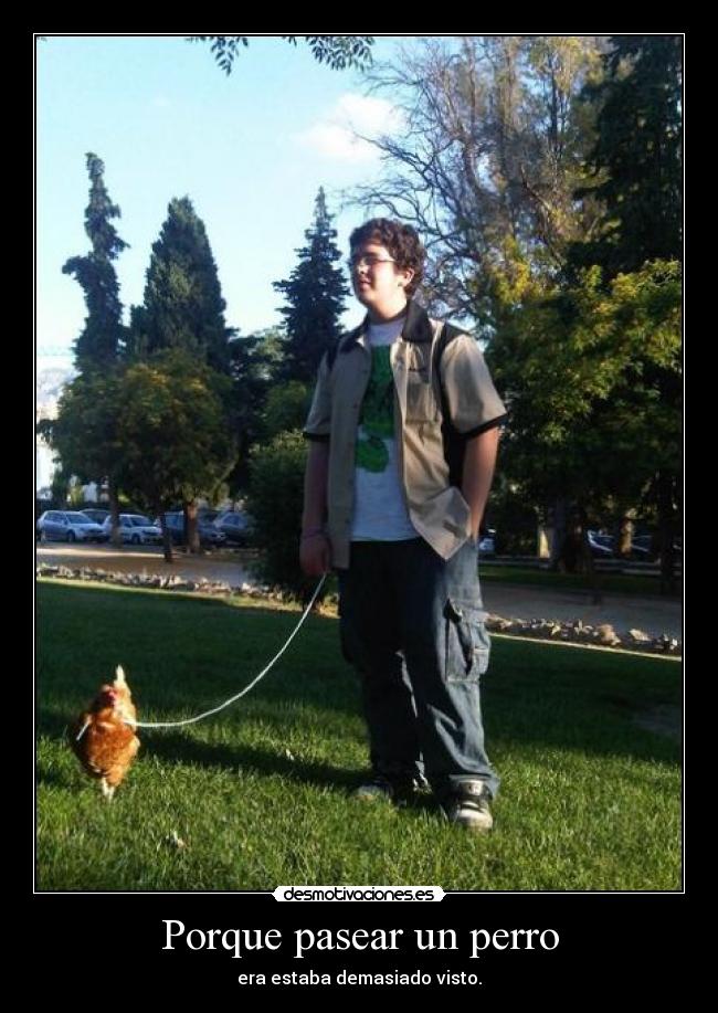 Porque pasear un perro - era estaba demasiado visto.