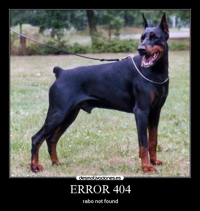 ERROR 404 -
