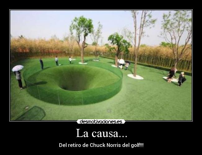 La causa... - Del retiro de Chuck Norris del golf!!!