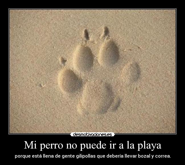 Mi perro no puede ir a la playa - 