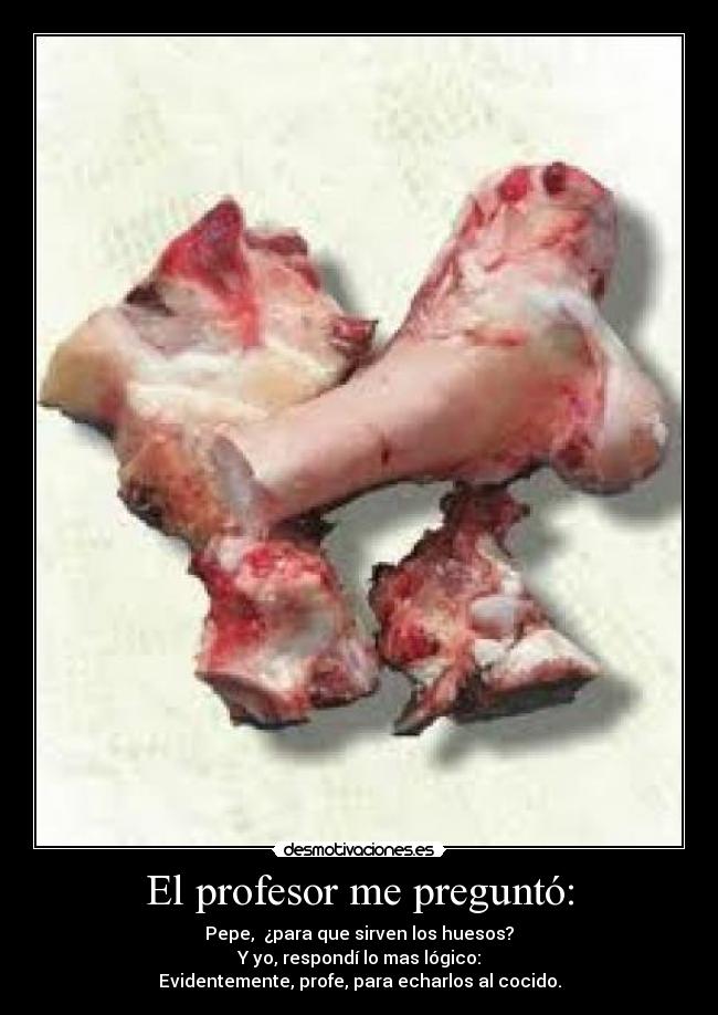 El profesor me preguntó: -