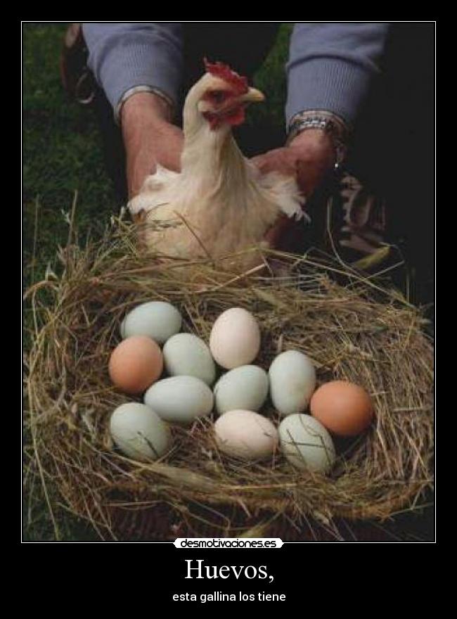 Huevos, -