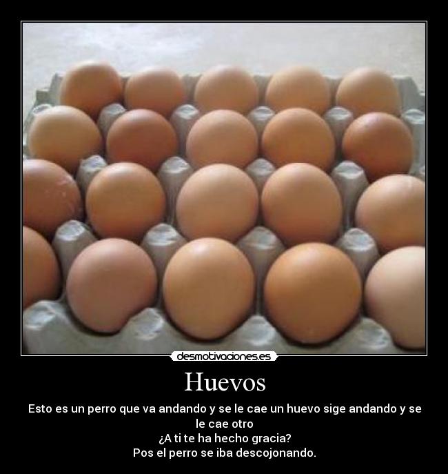Huevos - 