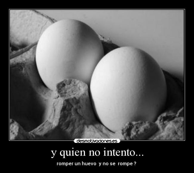 y quien no intento... - 