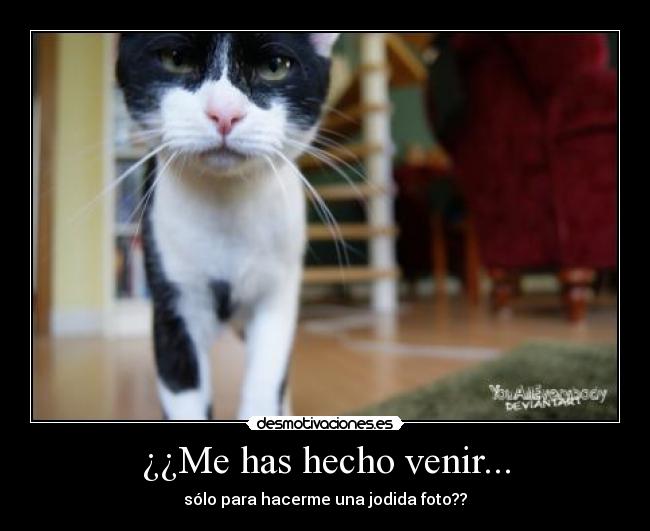 carteles venir desmotivaciones