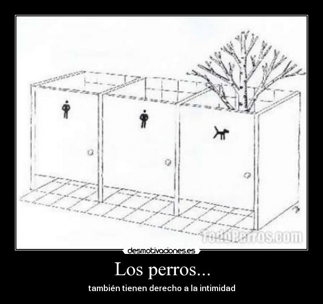 Los perros... -