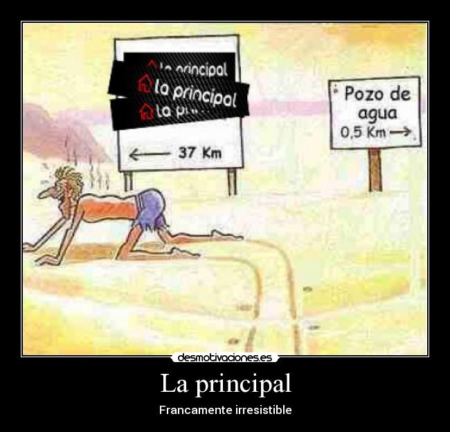 La principal - Francamente irresistible