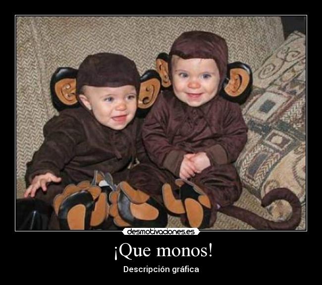 ¡Que monos! -