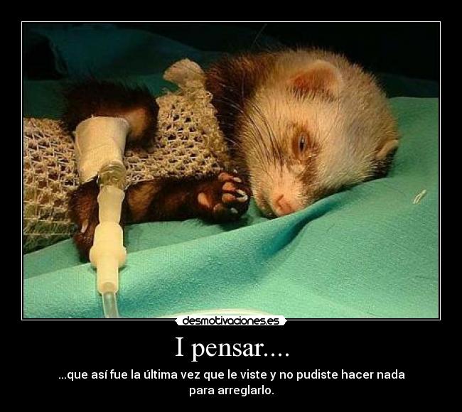 I pensar.... - 