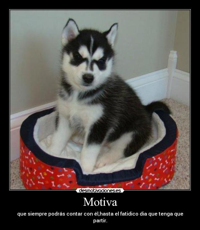 Motiva - que siempre podrás contar con él,hasta el fatidico dia que tenga que partir.