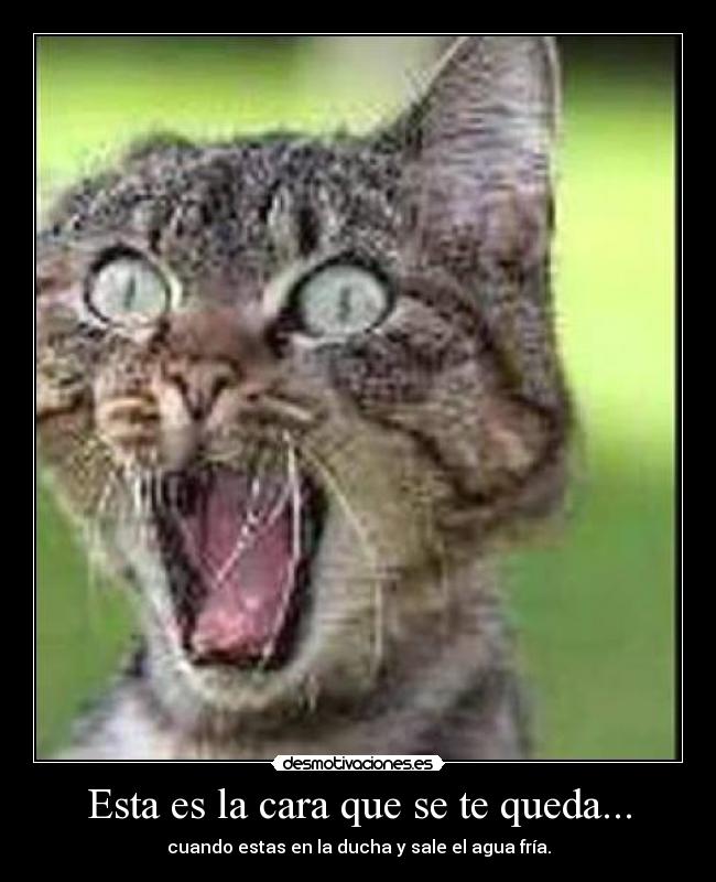 Esta es la cara que se te queda... -