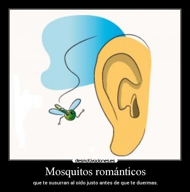 Mosquitos románticos -