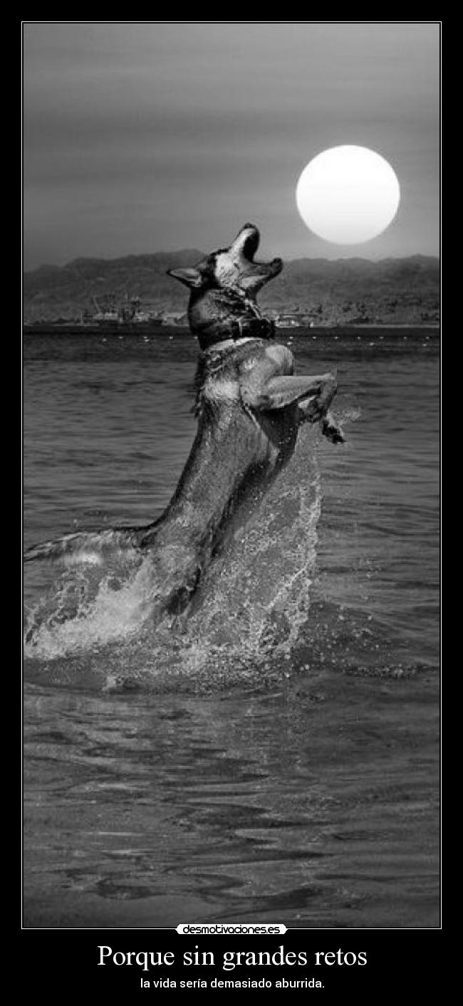 Porque sin grandes retos - la vida sería demasiado aburrida.