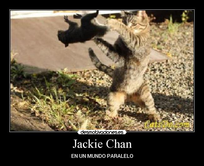 Jackie Chan -