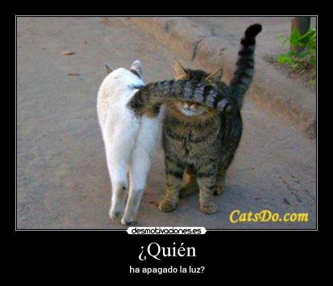 ¿Quién - ha apagado la luz?
