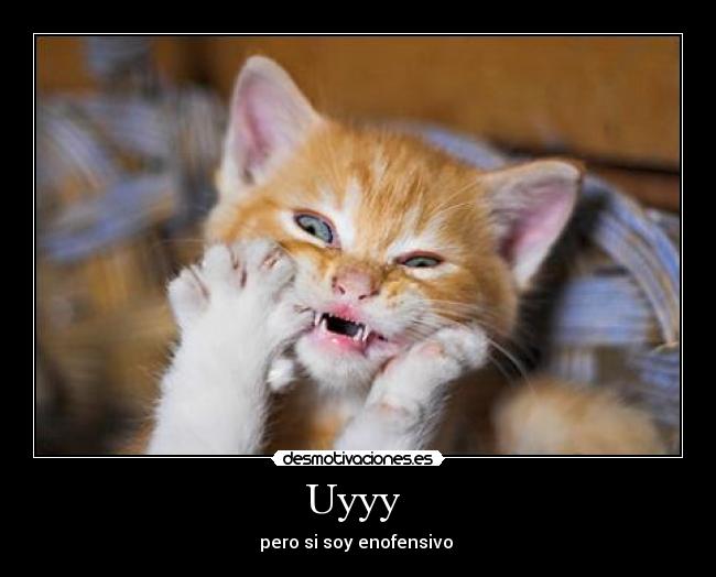 Uyyy - pero si soy enofensivo