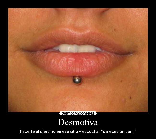 Desmotiva - hacerte el piercing en ese sitio y escuchar pareces un cani 