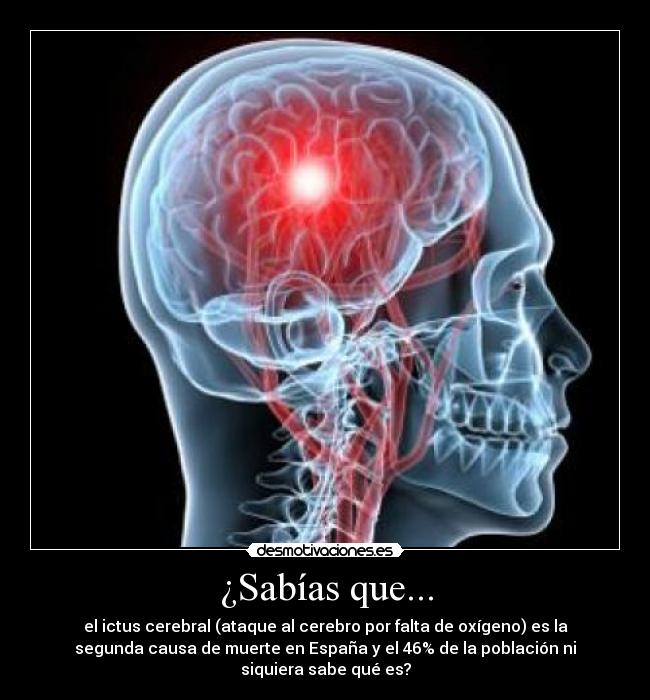 ¿Sabías que... -