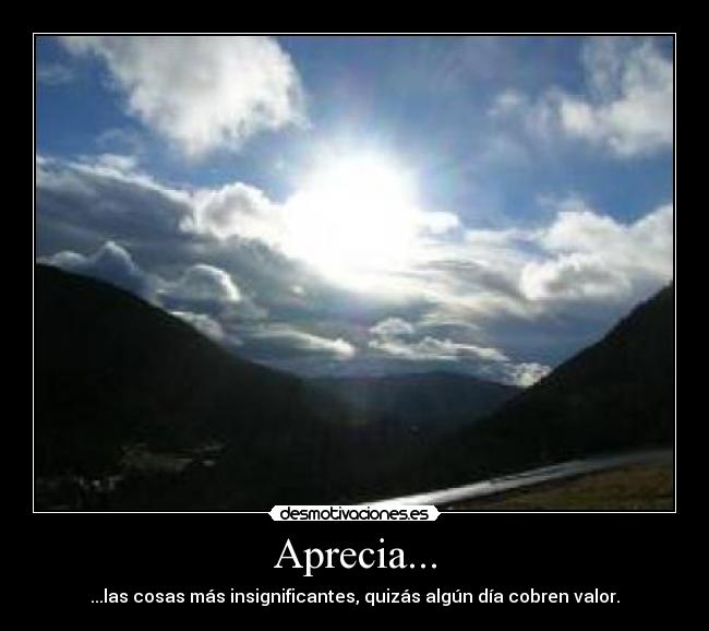 Aprecia... - ...las cosas más insignificantes, quizás algún día cobren valor.
