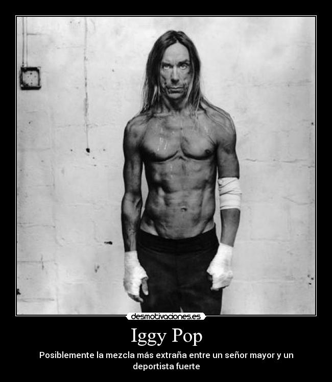 carteles iggy pop desmotivaciones