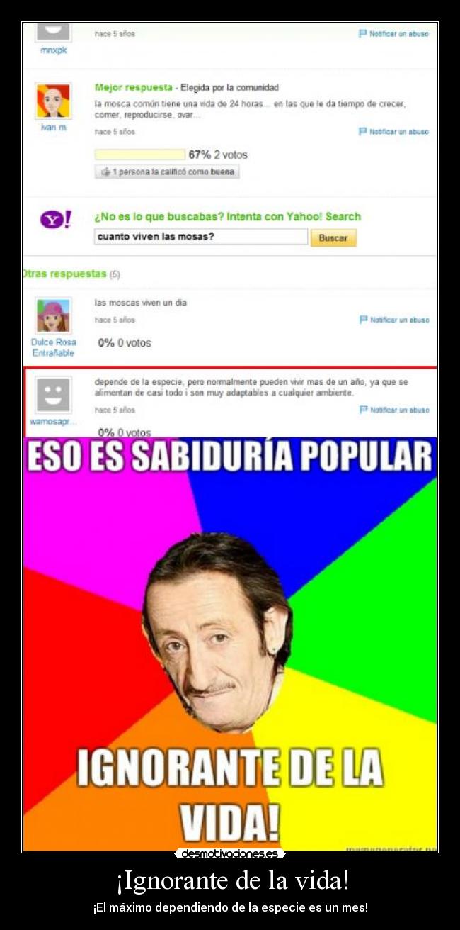 ¡Ignorante de la vida! - ¡El máximo dependiendo de la especie es un mes!