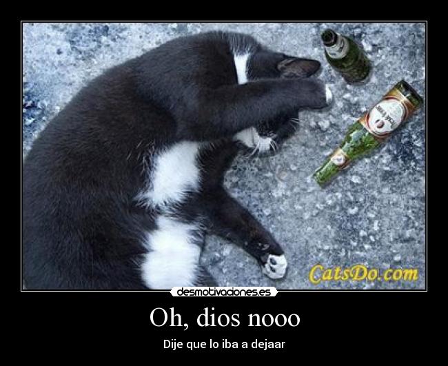 Oh, dios nooo -