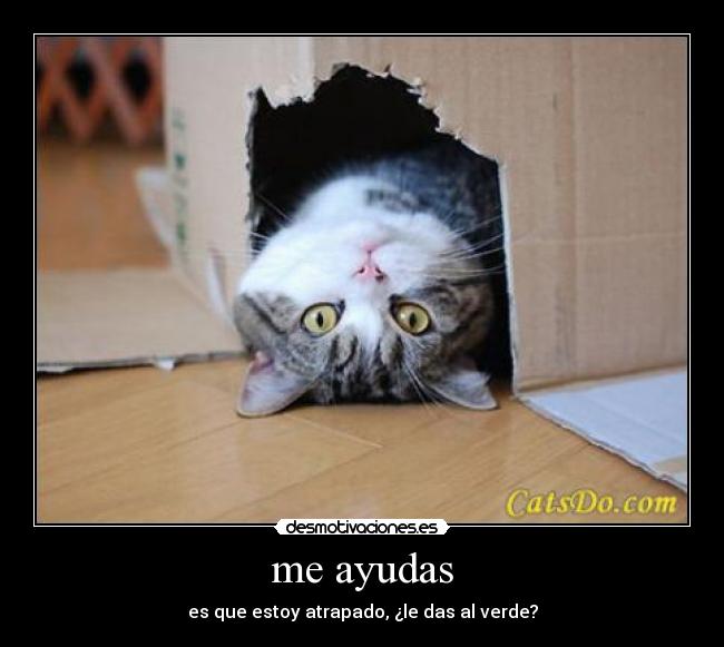 me ayudas -