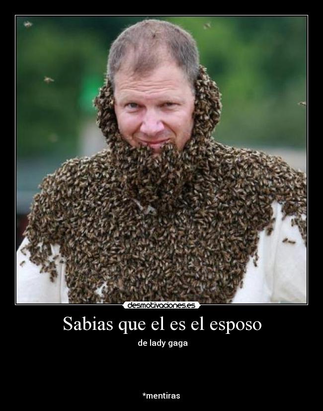 Sabias que el es el esposo - 