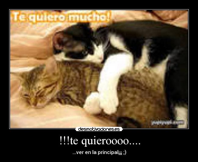 !!!te quieroooo.... -