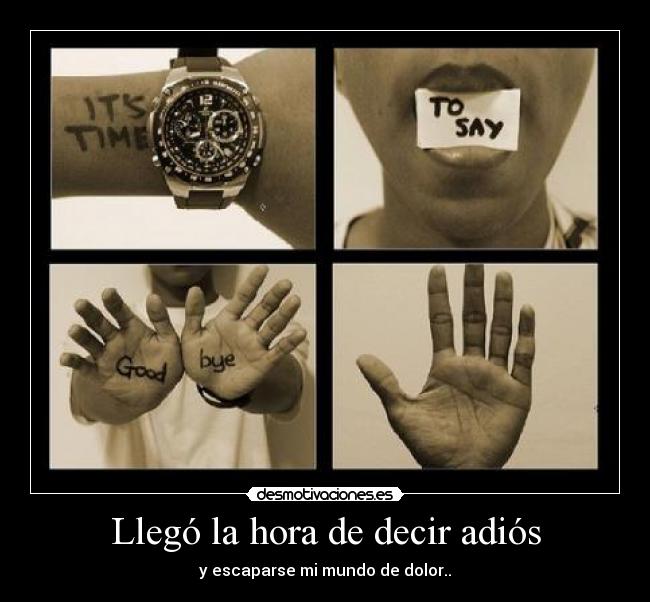 Llegó la hora de decir adiós - 