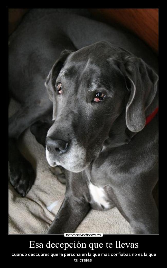 Esa decepción que te llevas -