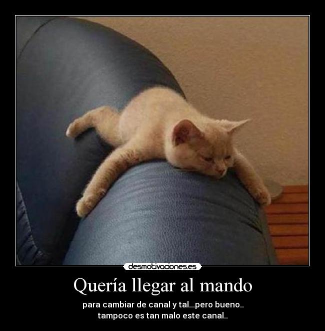 Quería llegar al mando - para cambiar de canal y tal...pero bueno..
tampoco es tan malo este canal..