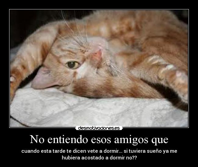 carteles amigos desmotivaciones