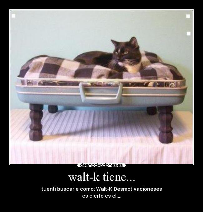 walt-k tiene... -