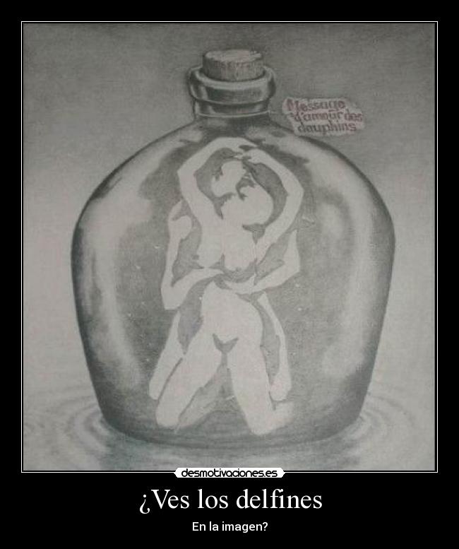 carteles delfin desmotivaciones