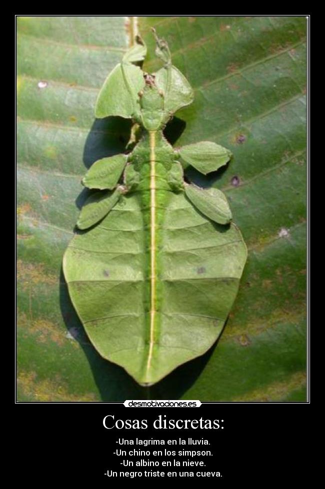 Cosas discretas: - -Una lagrima en la lluvia.
-Un chino en los simpson.
-Un albino en la nieve.
-Un negro triste en una cueva.