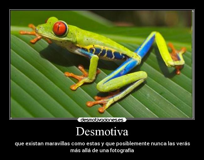Desmotiva - 