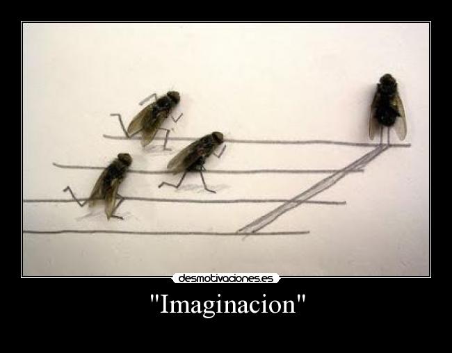 Imaginacion - 