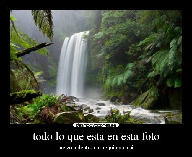 todo lo que esta en esta foto - se va a destruir si seguimos a si